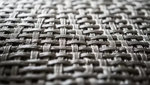 Ranking markiz tarasowych